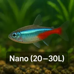 Nano 20 30l